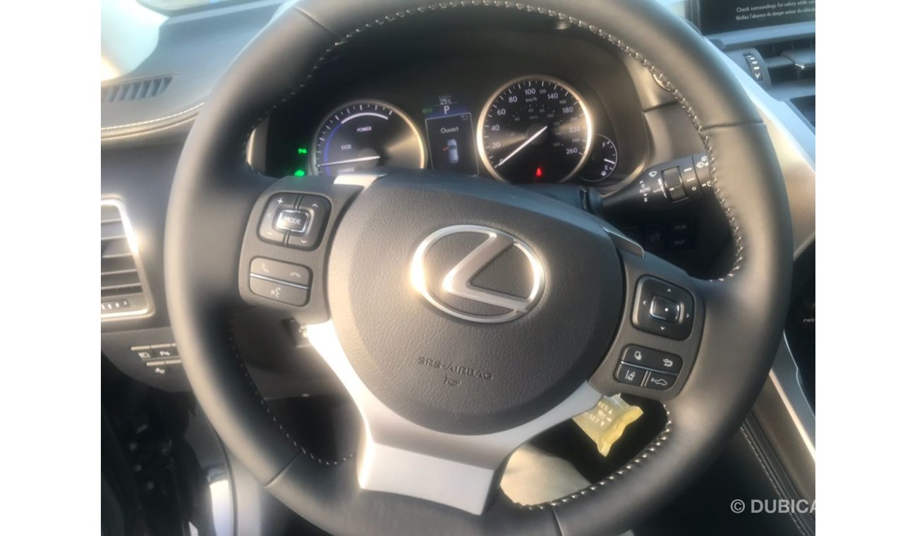 Lexus NX200t FULL OPTION