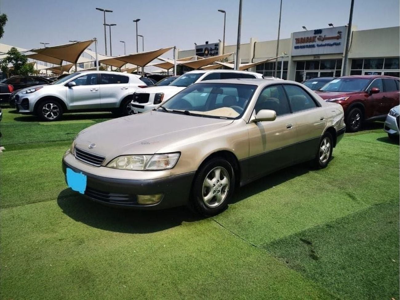 Lexus ES300 TOP