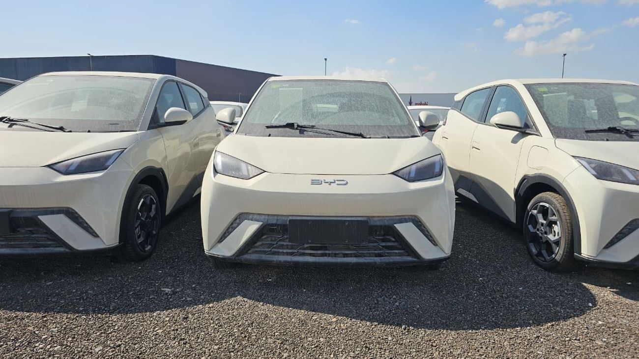 BYD Seagull BYD SEAGUL EV 405 FLYING EDITION 2025