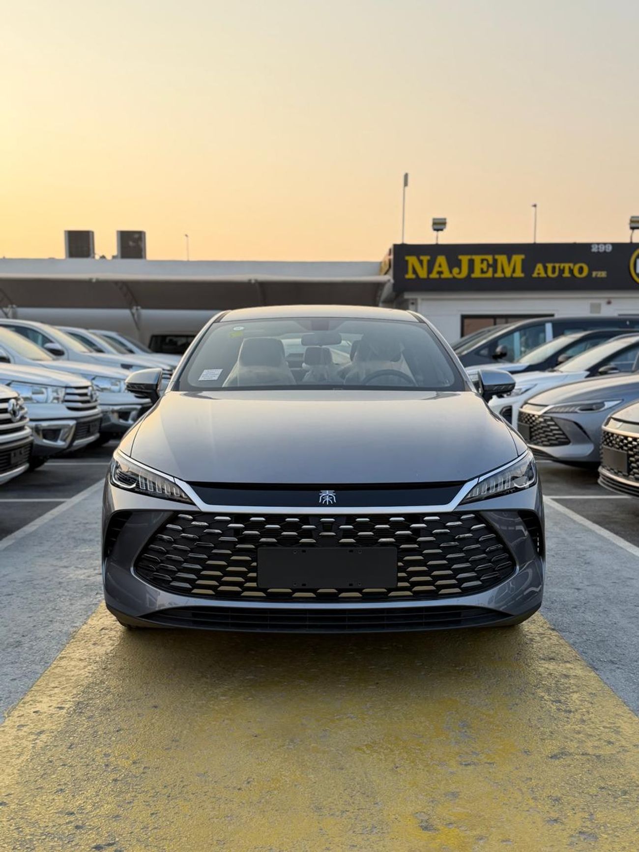 بي واي دي سيل 06 دي إم-آي