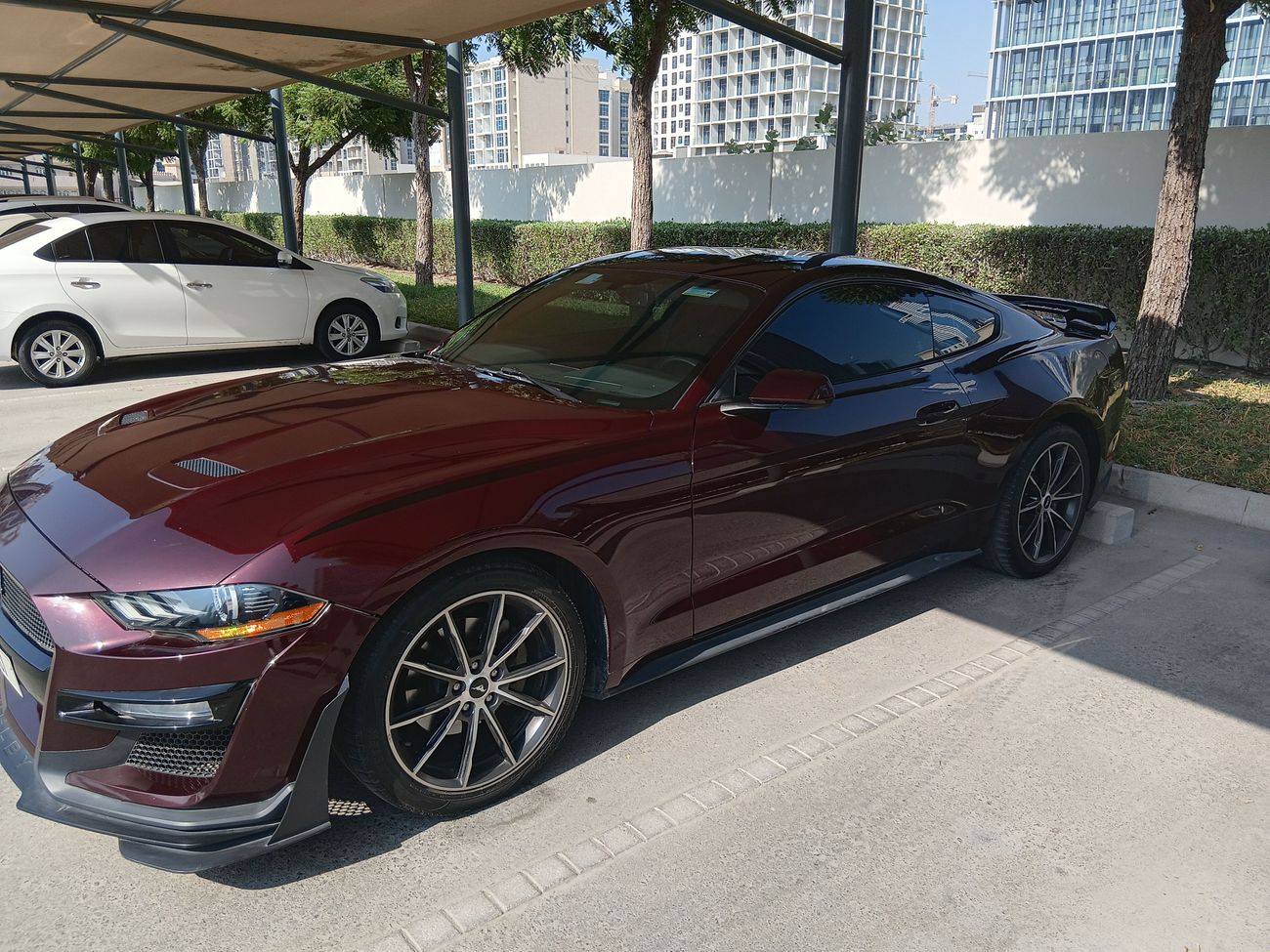 فورد موستانج