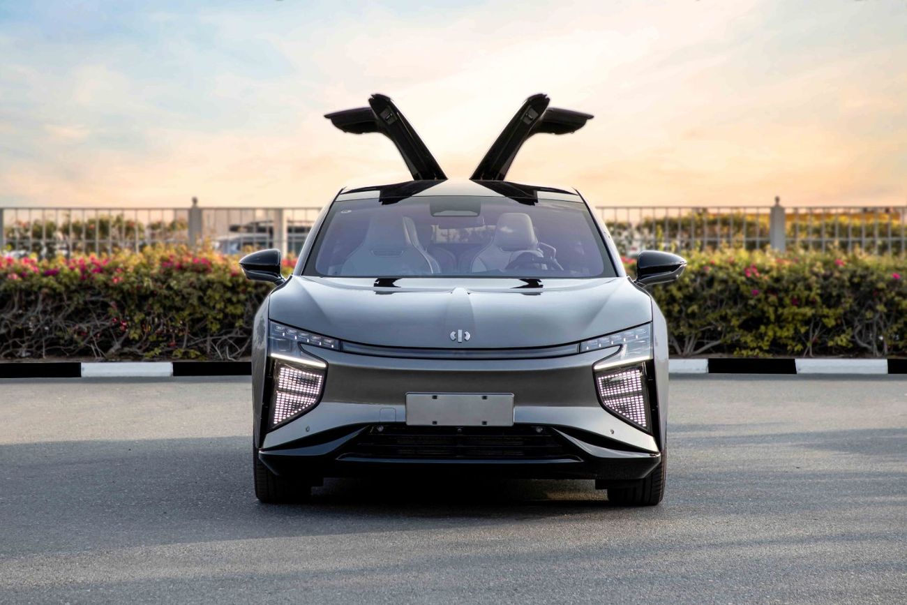 HiPhi X 2022  HIPHI X - Flagship - Grey inside White | Export Only