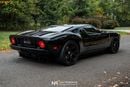 Ford GT Rare 1 of 14 Stripe Delete