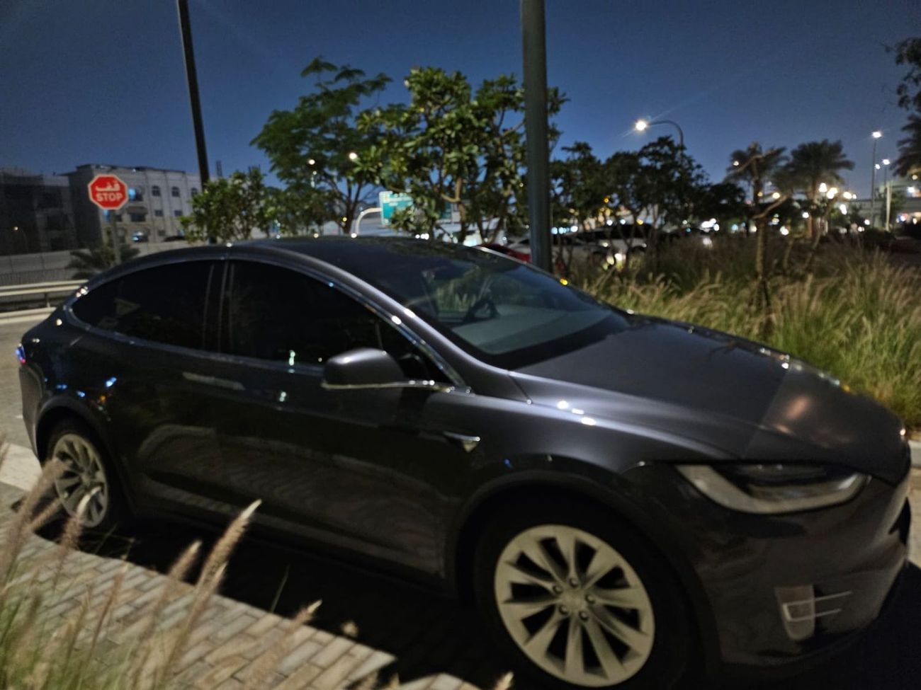 تسلا موديل اكس orignal paint