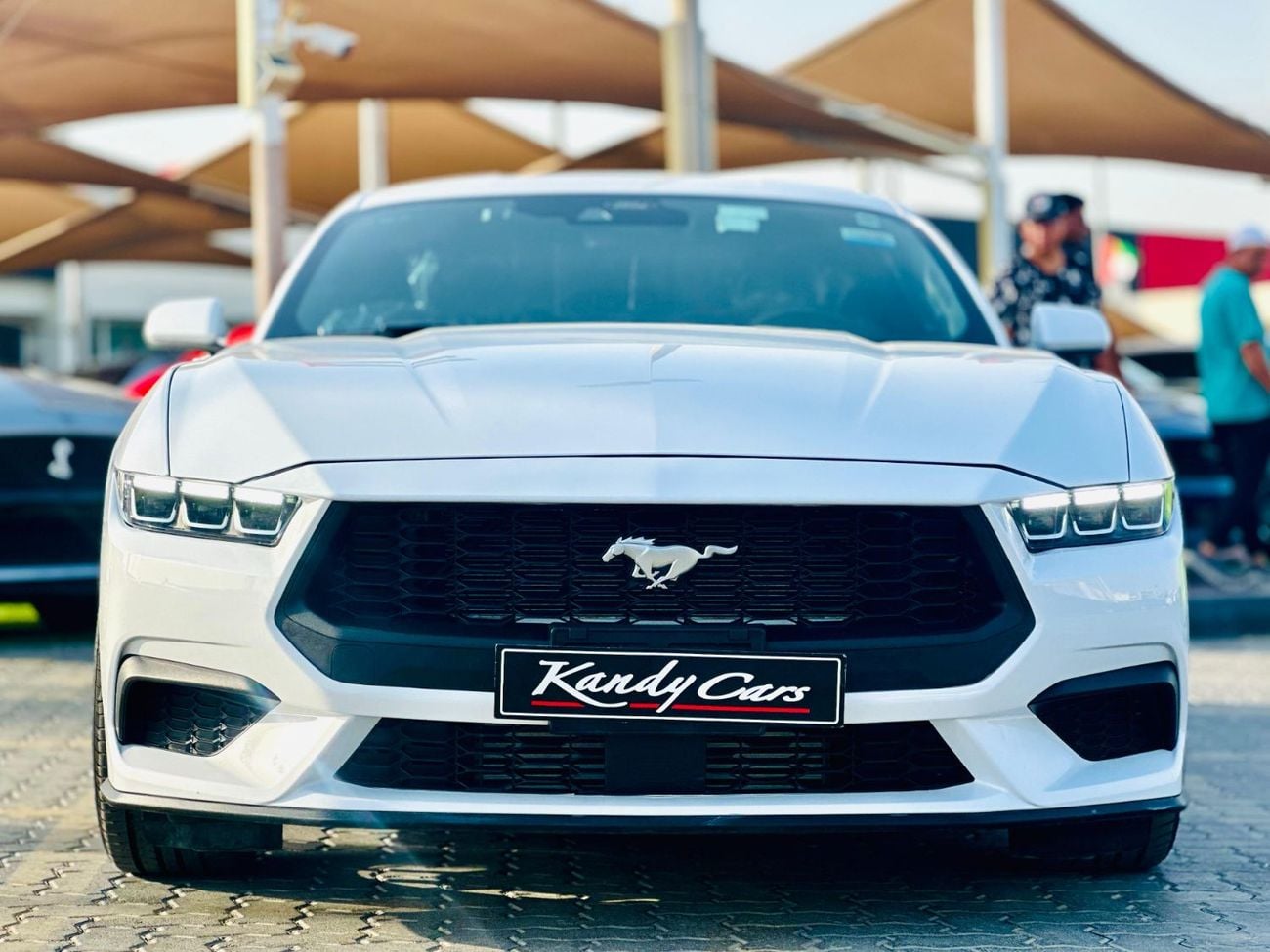 فورد موستانج STD