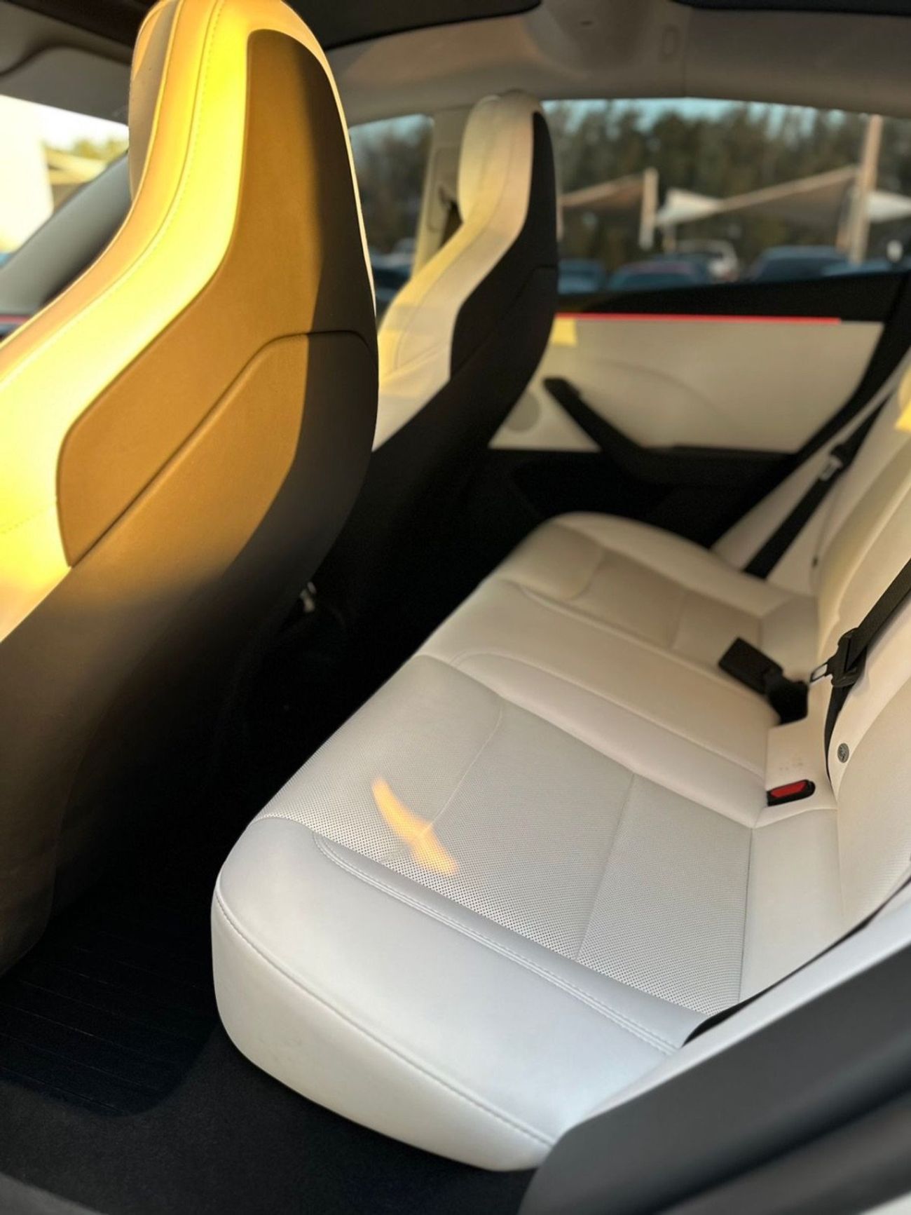 Tesla Model 3 Performance (AWD)