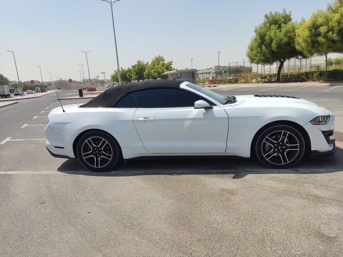 Ford Mustang ecoboost premium convertble