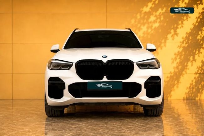 BMW X5 XDRIVE40i M SPORT, миниатюра 18