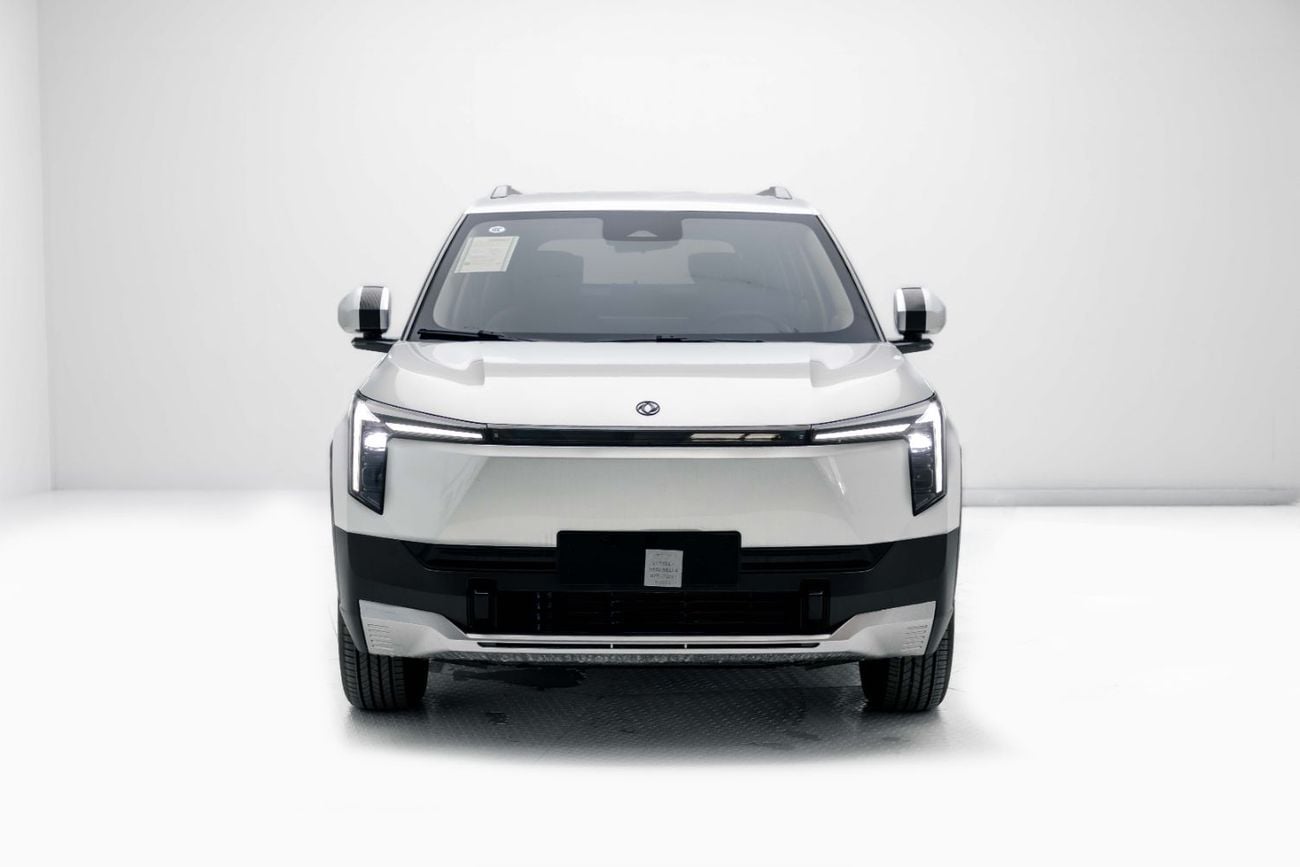 Nammi 06 EV - Silver Inside Grey | Export Only