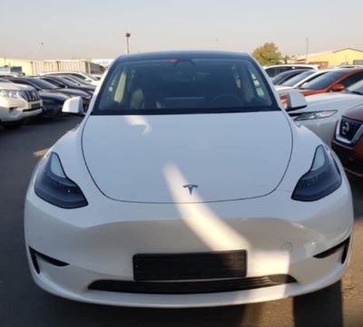 Tesla Model Y Real-Wheel Drive