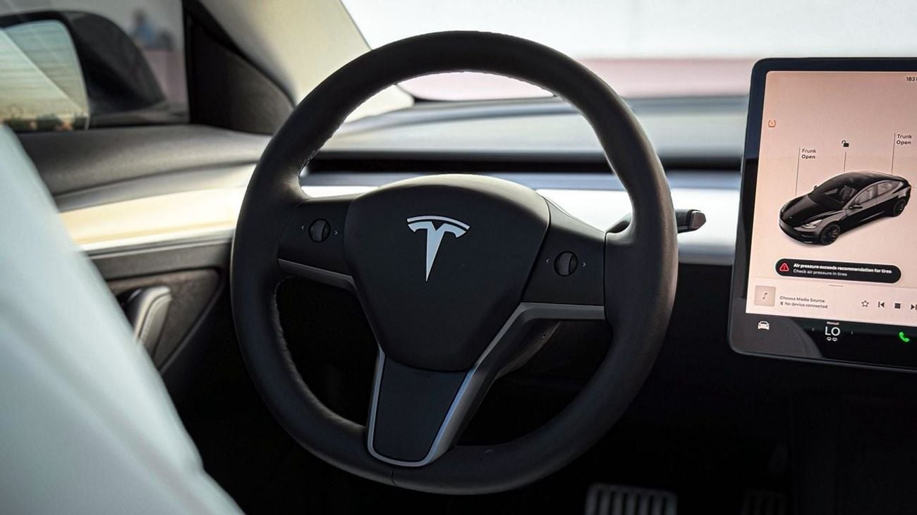 Tesla Model 3 Performance (AWD)