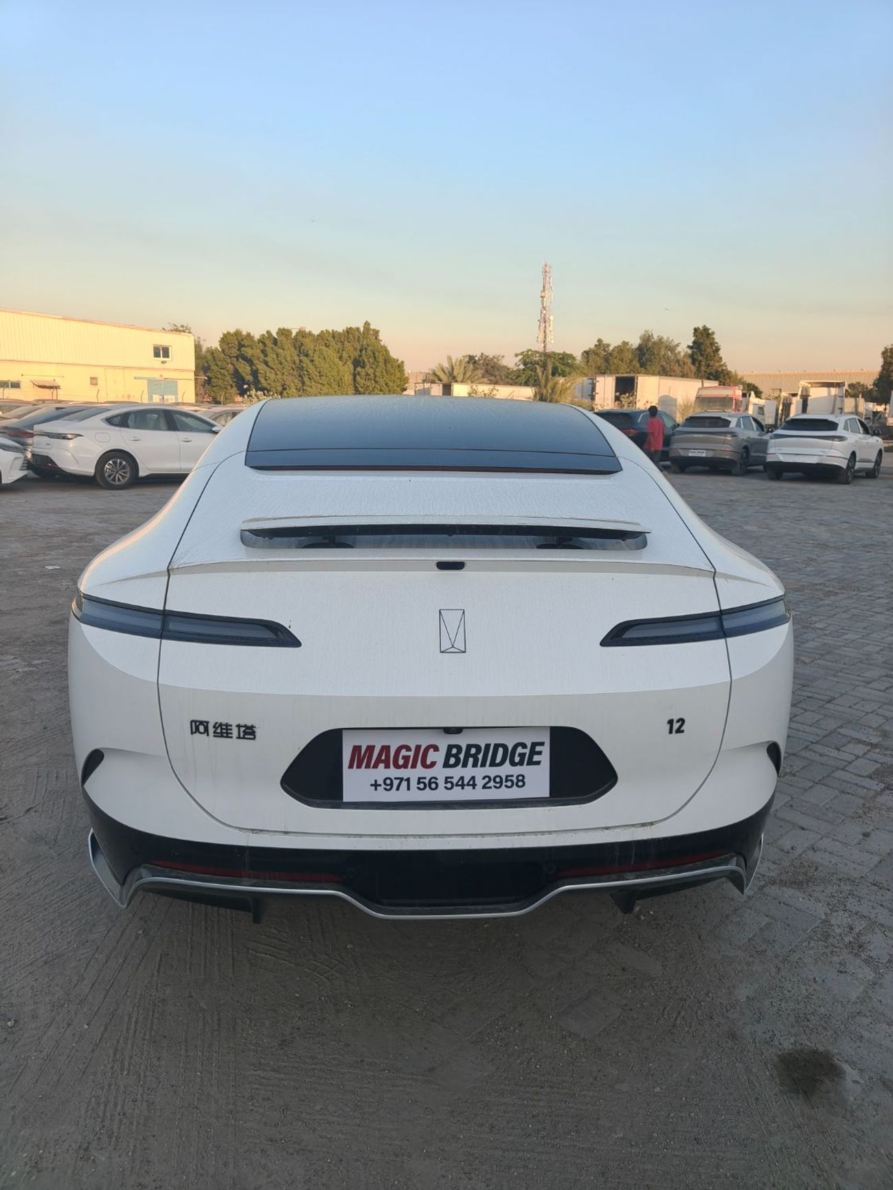 أفاتر 12 أفاتار 12 4WD ماستر سيارة كهربائية بالكامل