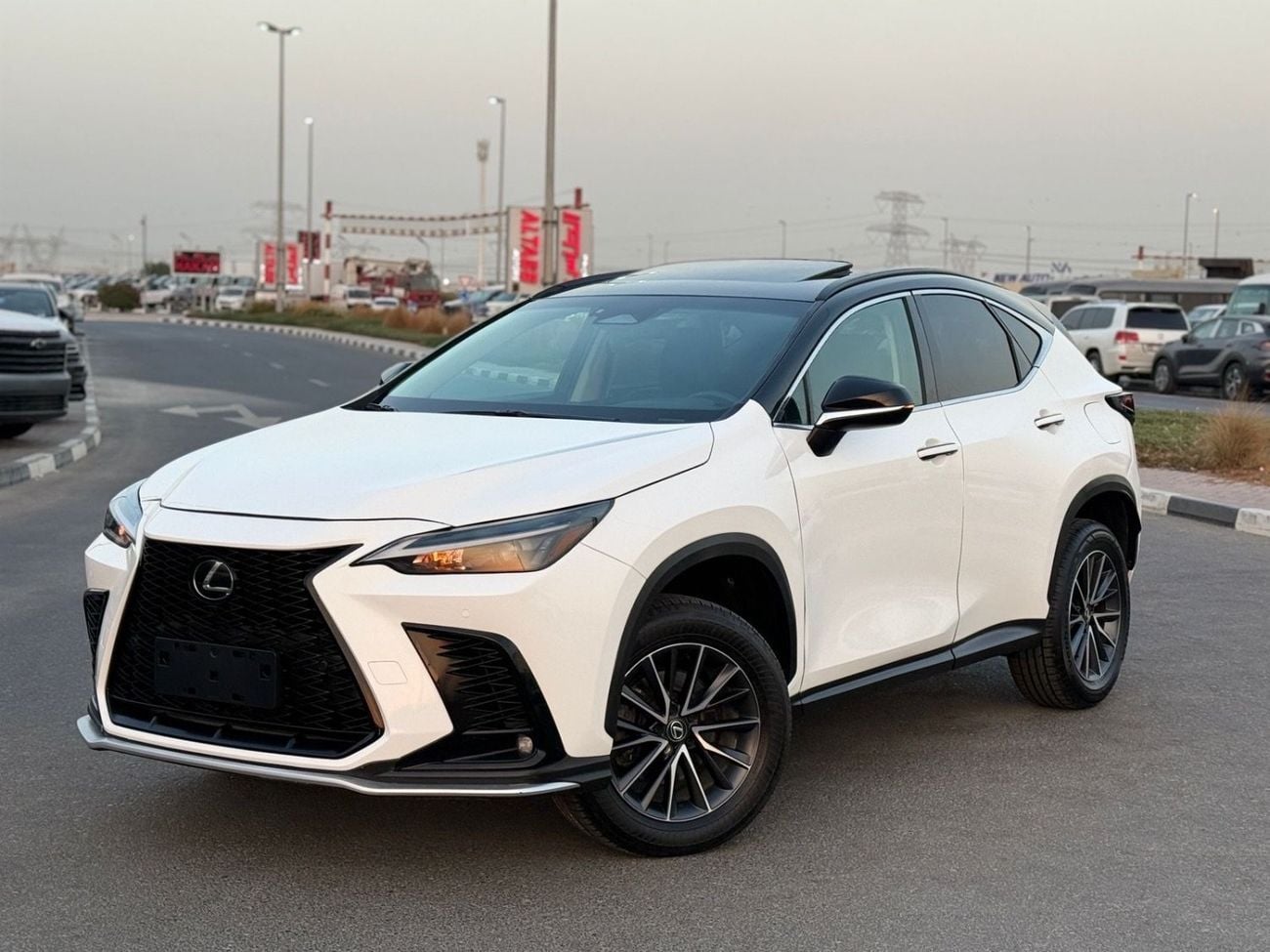 Lexus NX 250 Lexus NX 250 premium 2025