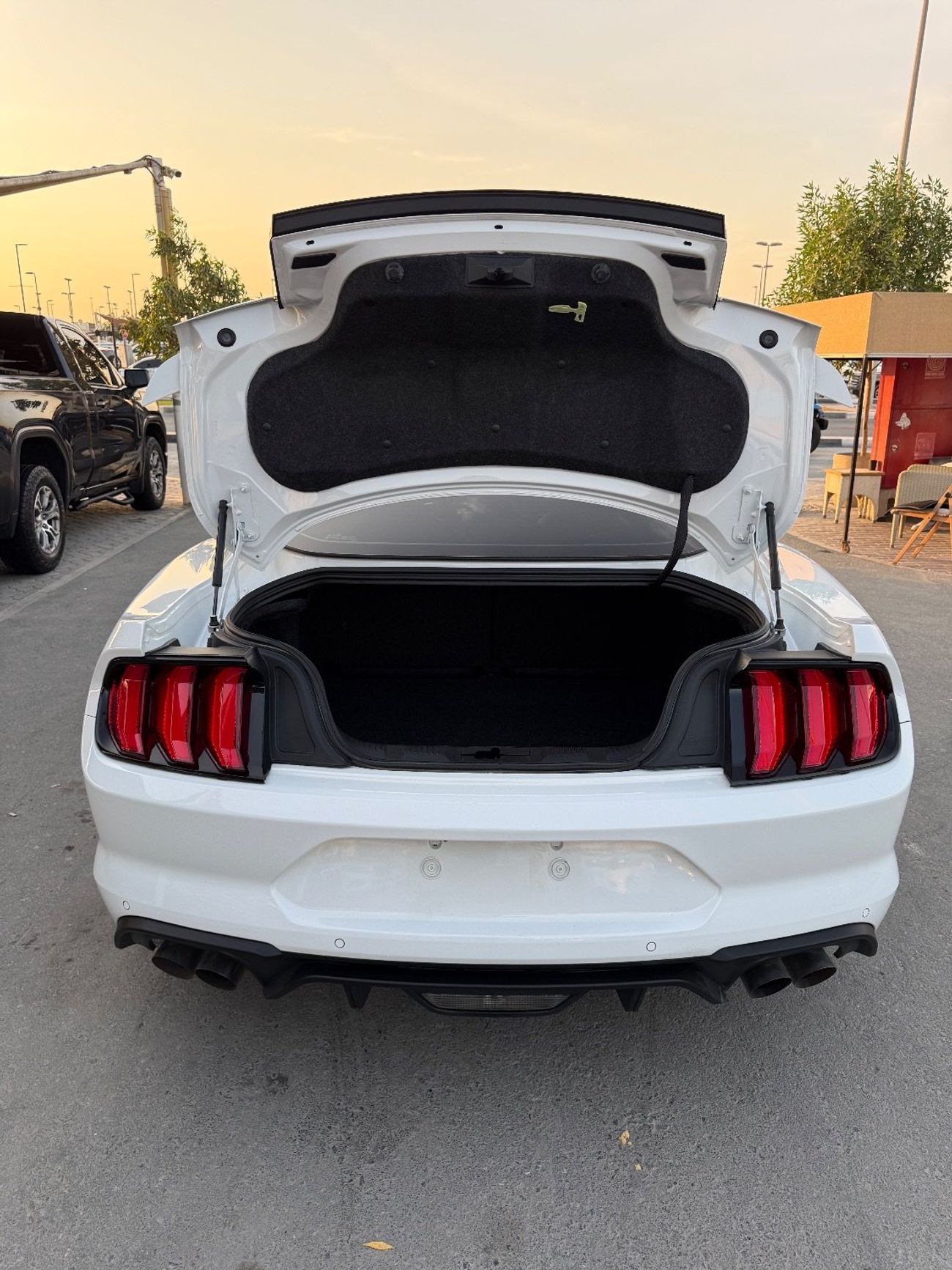 Ford Mustang GT Premium 5.0L V8