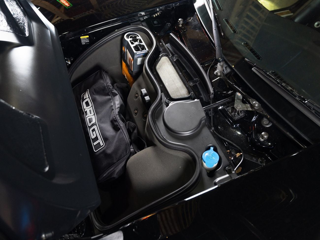 Ford GT Rare 1 of 14 Stripe Delete