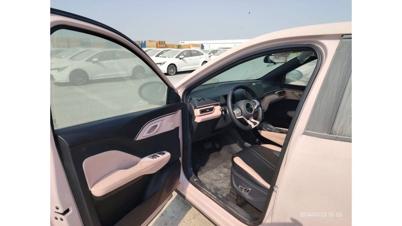 BYD Seagull BYD SEAGULL 2024 FLYING VERSION