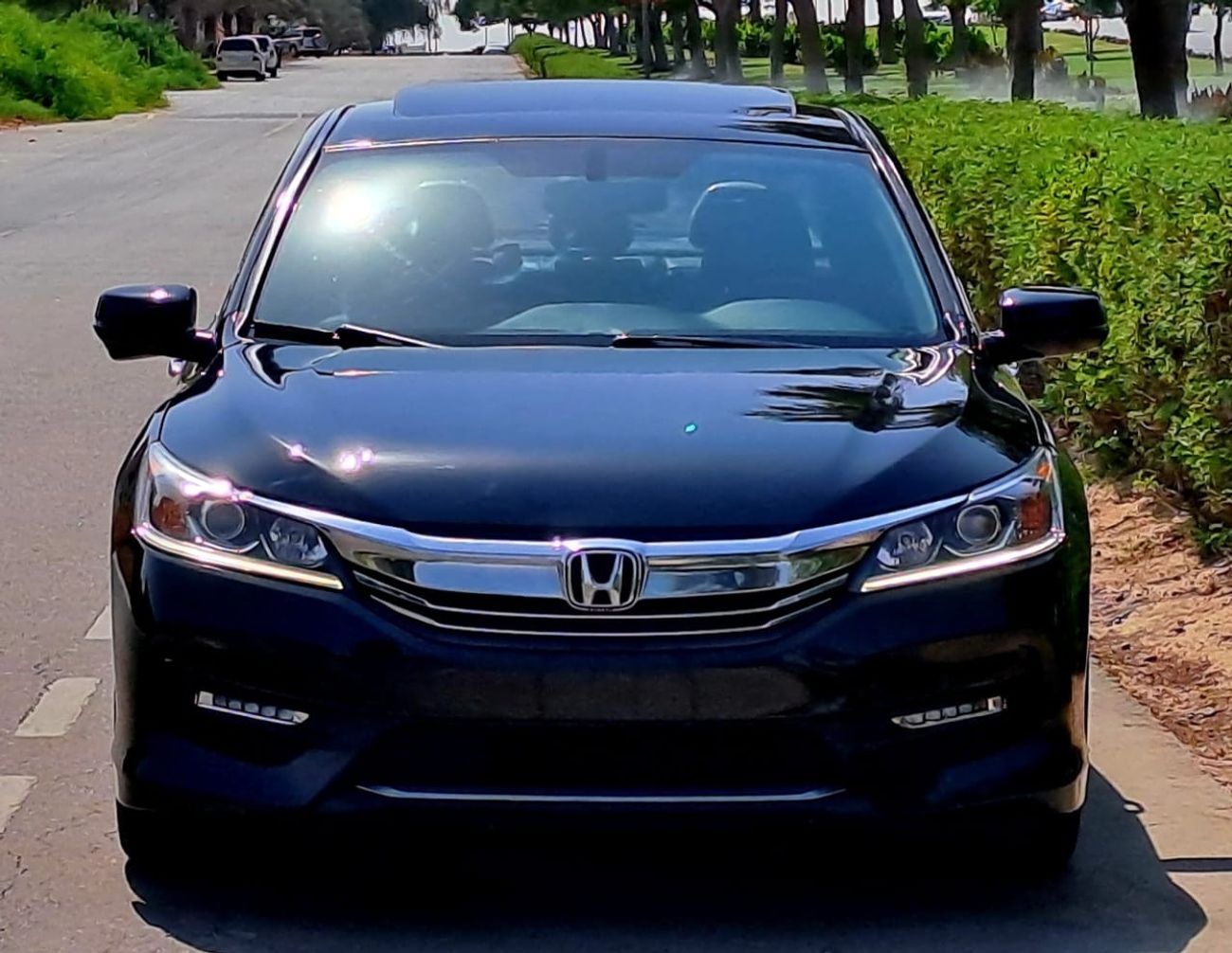 Honda Accord Sport 2.0L 599-Monthly l 2.4L l Sunroof, Leather, Cruise l Warranty