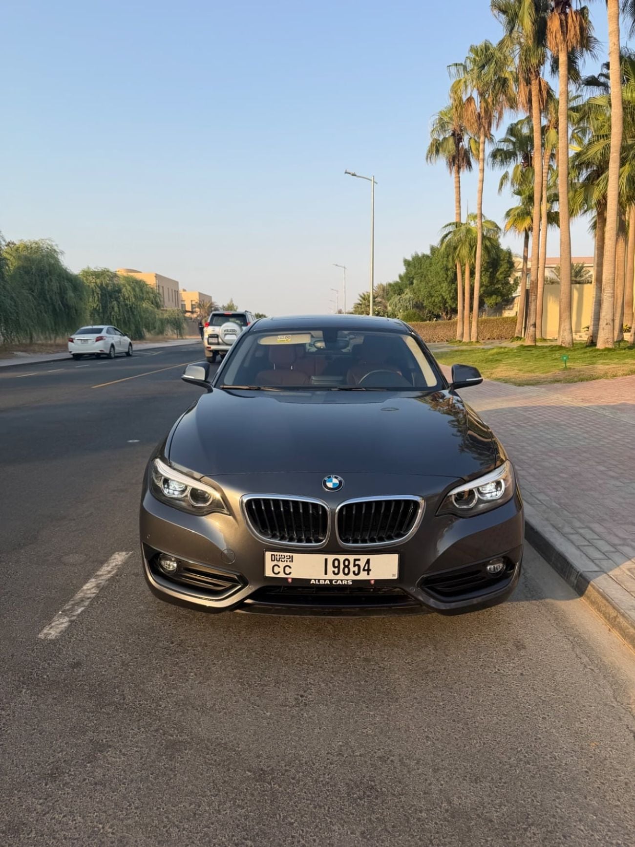BMW 220i SPORT LINE