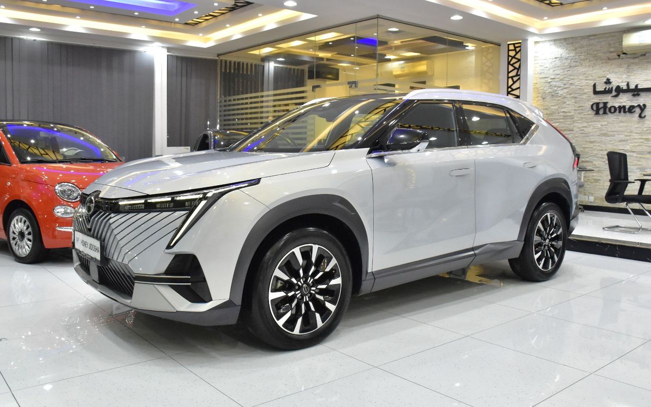 جي إي سي إمكو EXCELLENT DEAL for our GAC Emkoo ( 2024 Model ) in Silver Color GCC Specs