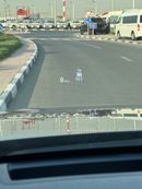 Hyundai Palisade Calligraphy Full Option