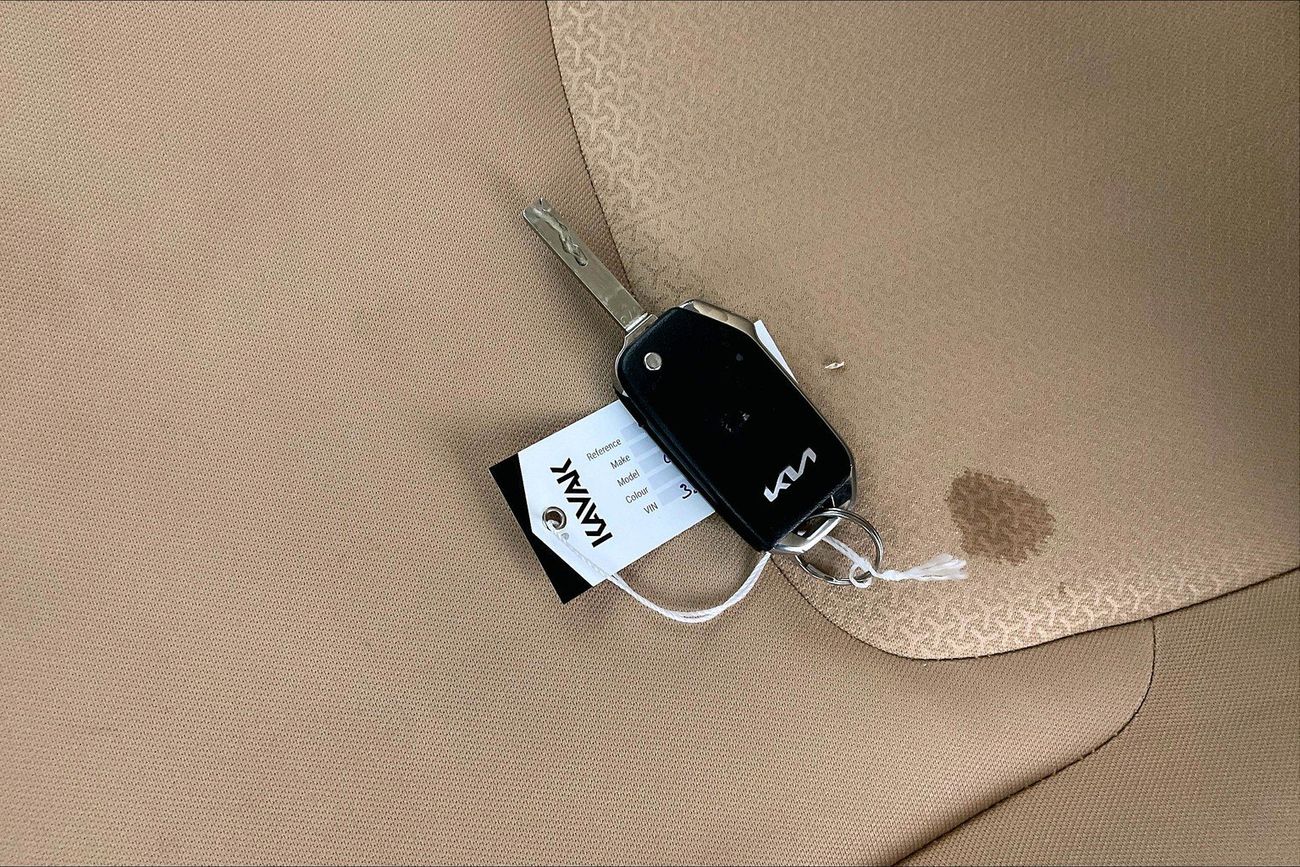 Kia Carnival EX STD | Guaranteed Warranty | 0 Down Payment