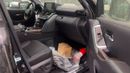Toyota Land Cruiser GXR EXPORT ONLY - Toyota LC300 4.0L (Black Interior)