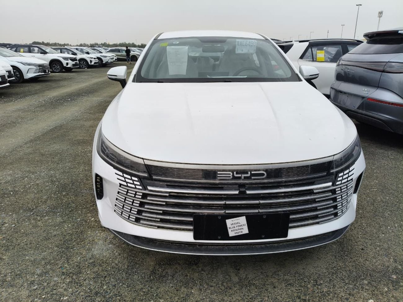 بي واي دي ديسترويار 05 STD (NON GCC) DM-i 55KM Luxury Model