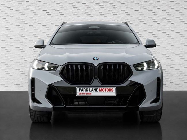 BMW X6 xDrive40i Luxury M Sport Package 3.0L, миниатюра 23