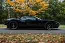Ford GT Rare 1 of 14 Stripe Delete