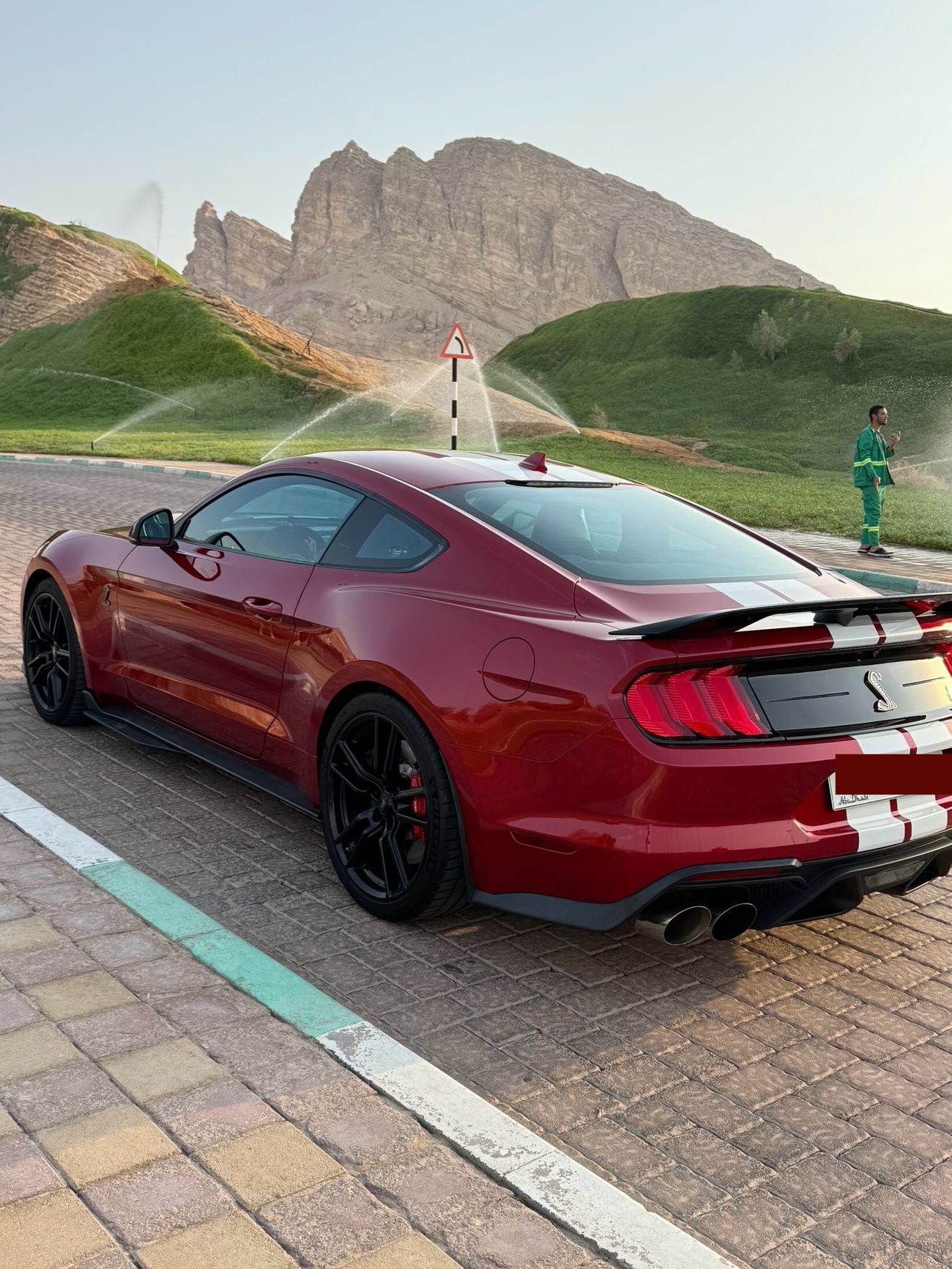 Ford Mustang Shelby GT500