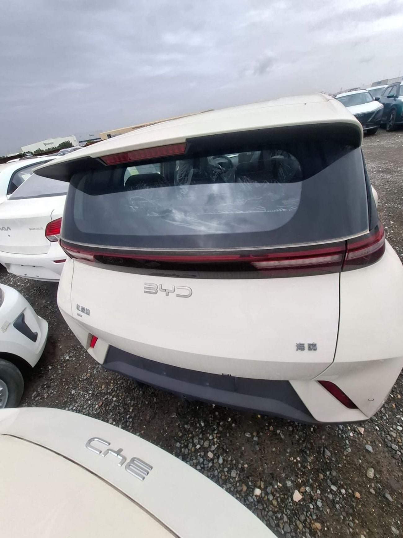 BYD Seagull Glory Edition 405KM Flying Edition