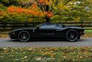 Ford GT Rare 1 of 14 Stripe Delete