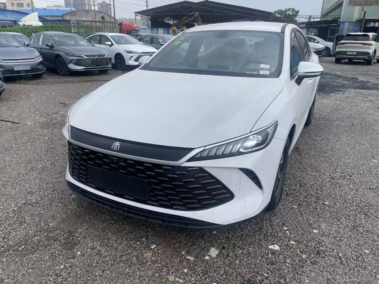 بي واي دي كين بلاس Qin plus white-beige