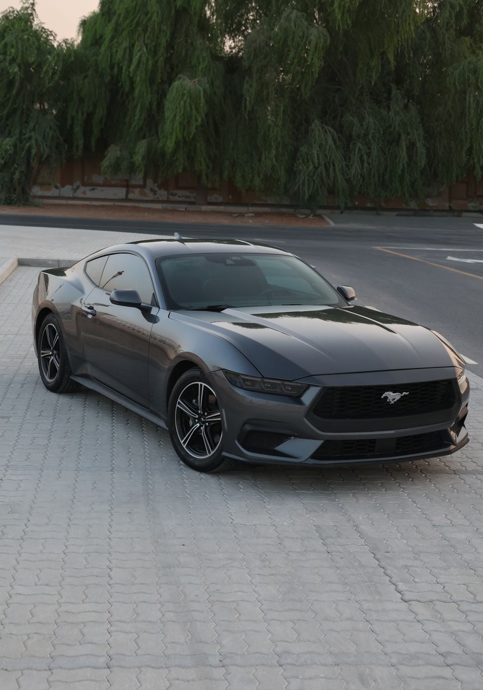Ford Mustang STANDARD