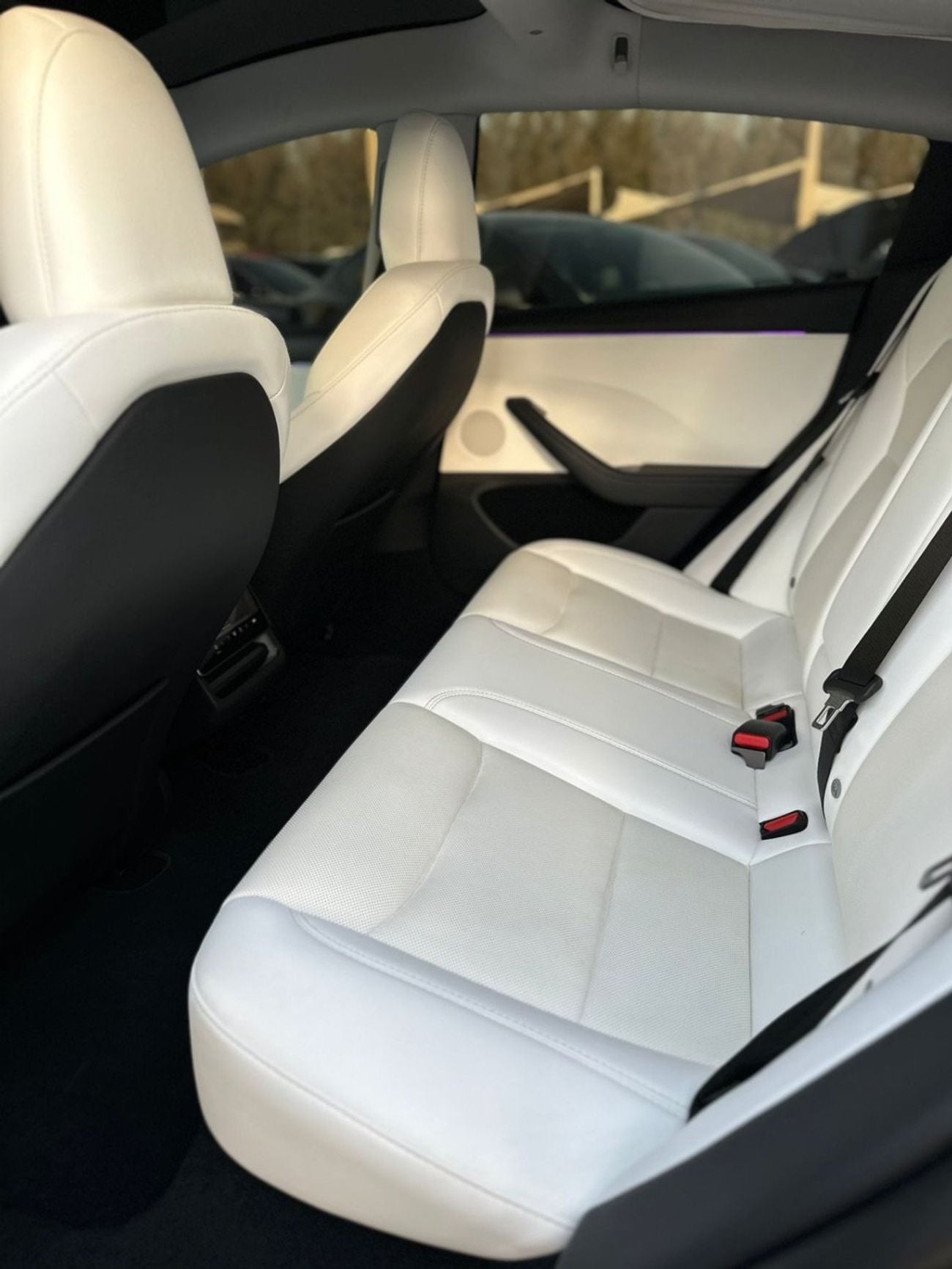 Tesla Model 3 Rear-Wheel Drive