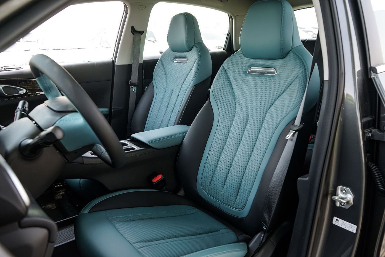 جيلي شينغ يوان Geome EV 410KM