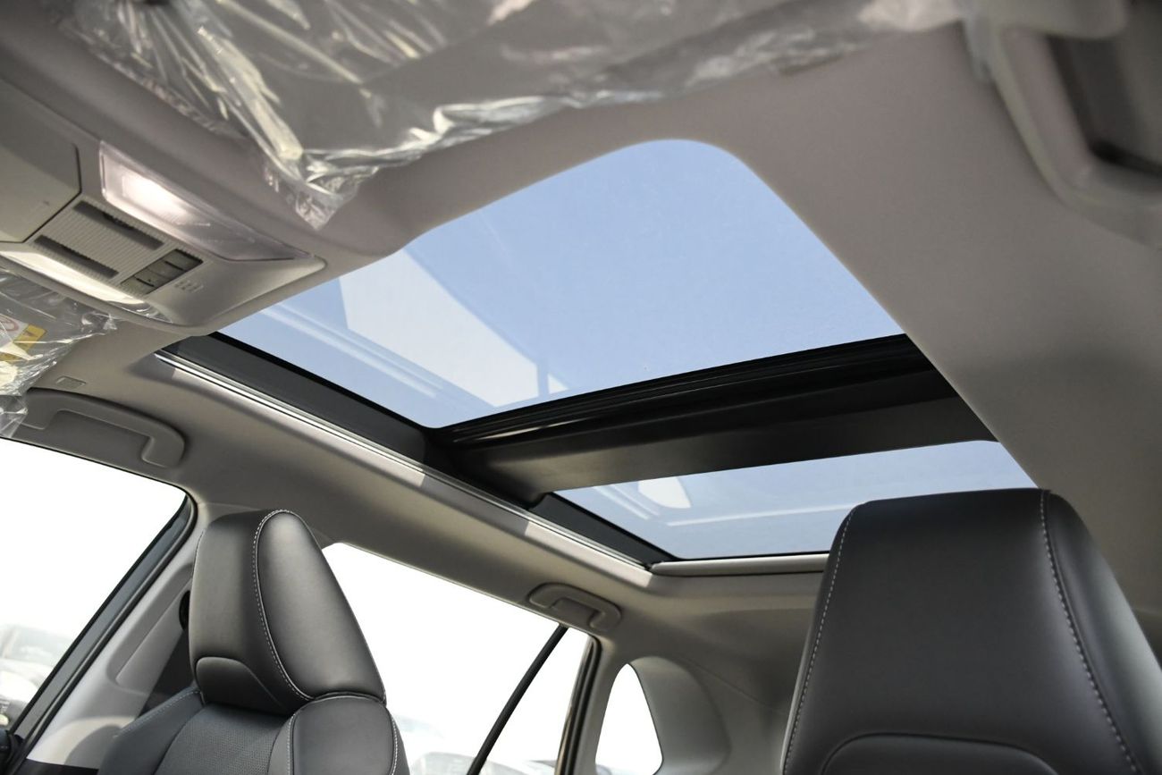 Toyota RAV4 2.5L HEV Limited  Full Option  Door Molding (Ready Stock)