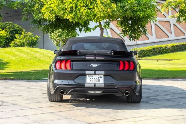 Ford Mustang EcoBoost Premium 2.3L Convertible M/T, миниатюра 26