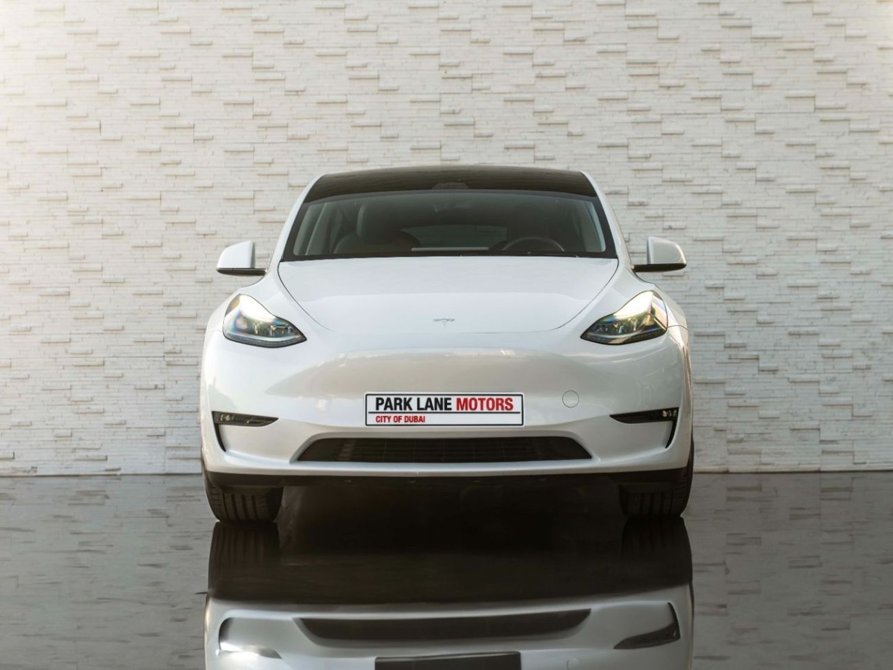 Tesla Model Y PERFORMANCE