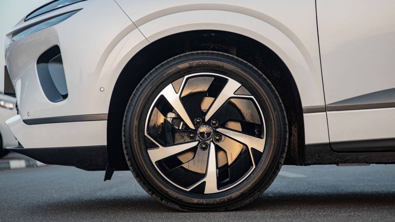 بي واي دي سيليون 06 170KM PILOT PLUS EDITION with HUD | 2025 | Ready Stock Limited QTY | For Local Registration +10