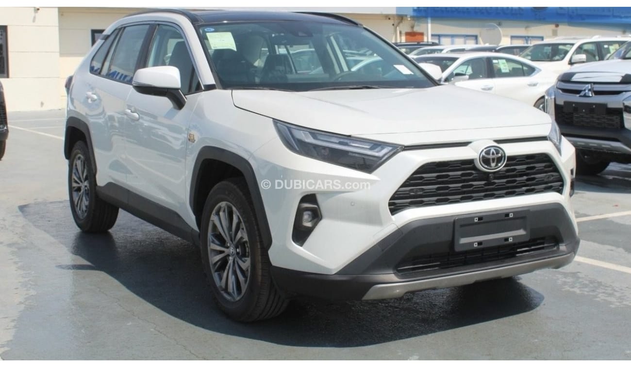 Toyota RAV4 2023 RAV4 2.0L 20th Anniversary 2WD