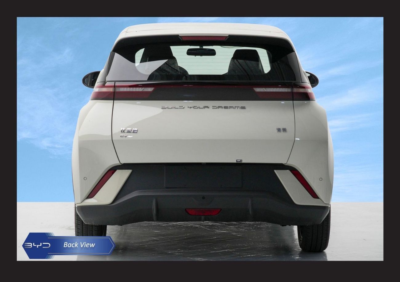 BYD Seagull FLYING HATCHBACK HI AT ELECTRIC Car 2024 Model