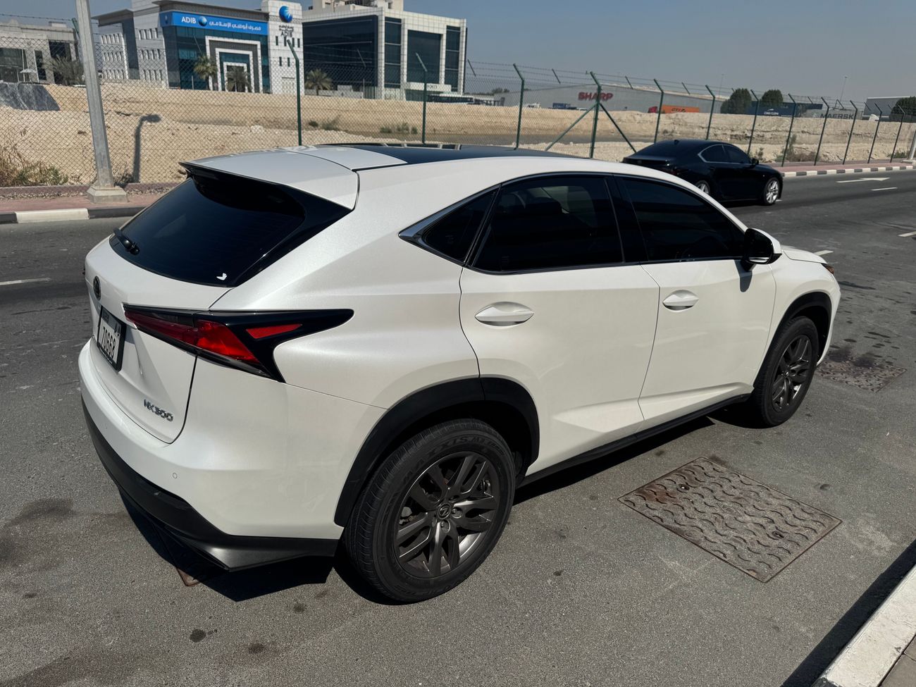 Lexus NX300
