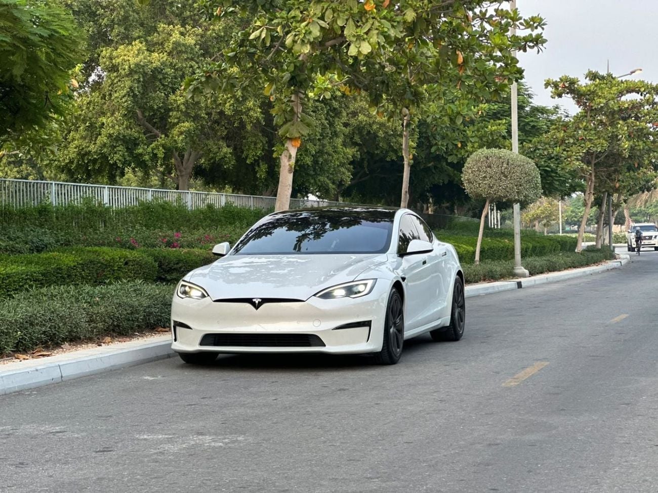Tesla Model S PLAID