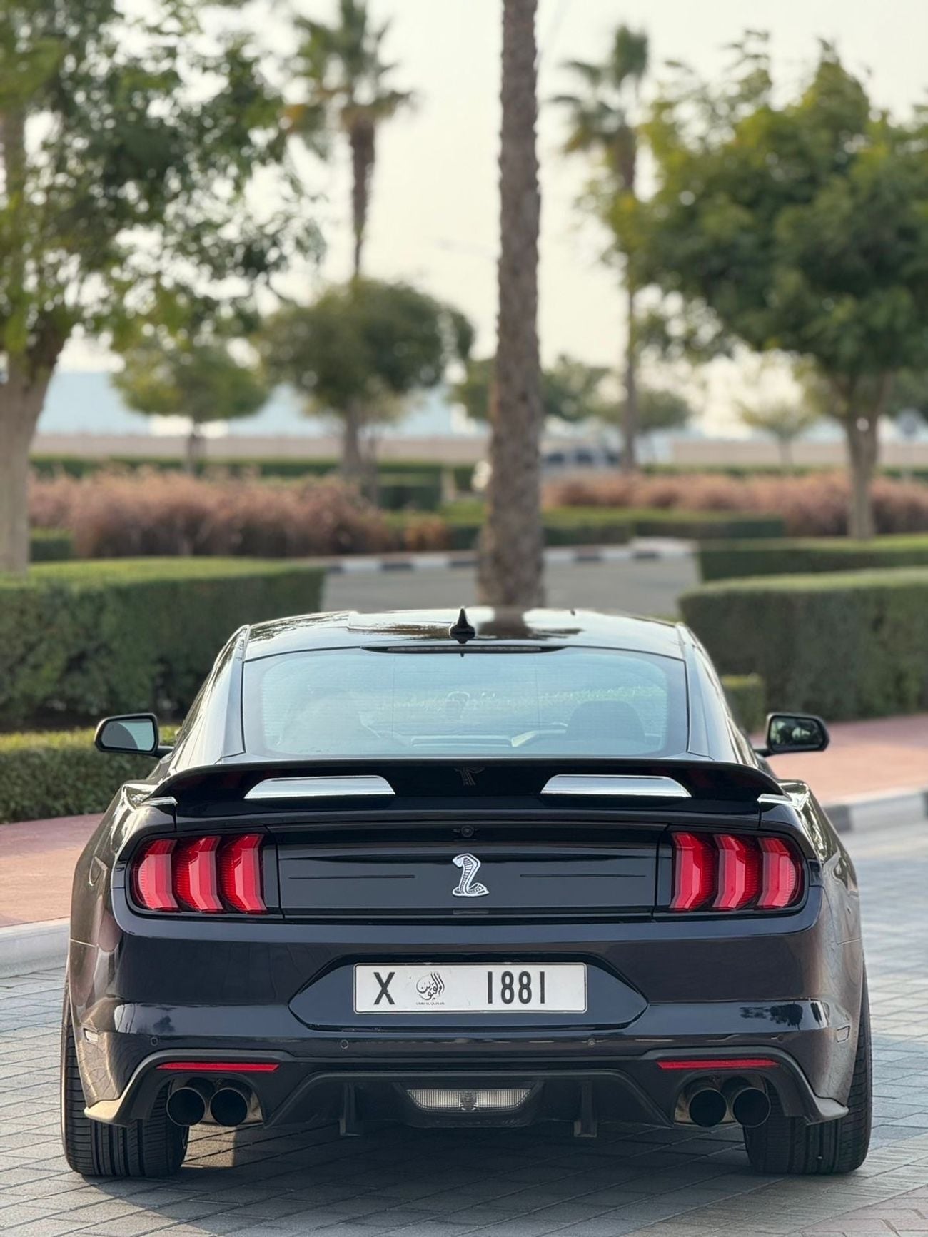 فورد موستانج GT