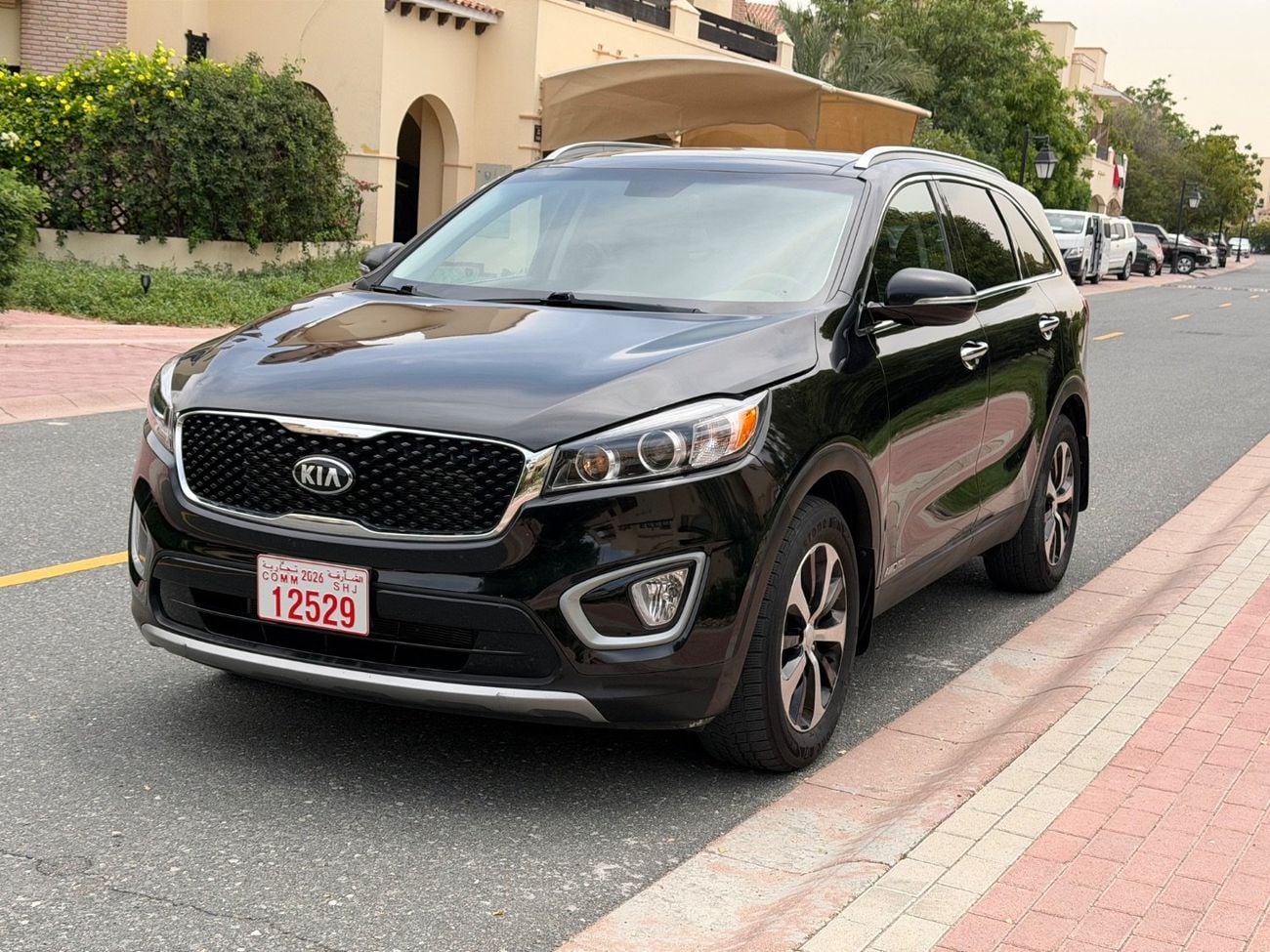 Kia Sorento EX TOP