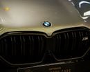 بي أم دبليو X6 M