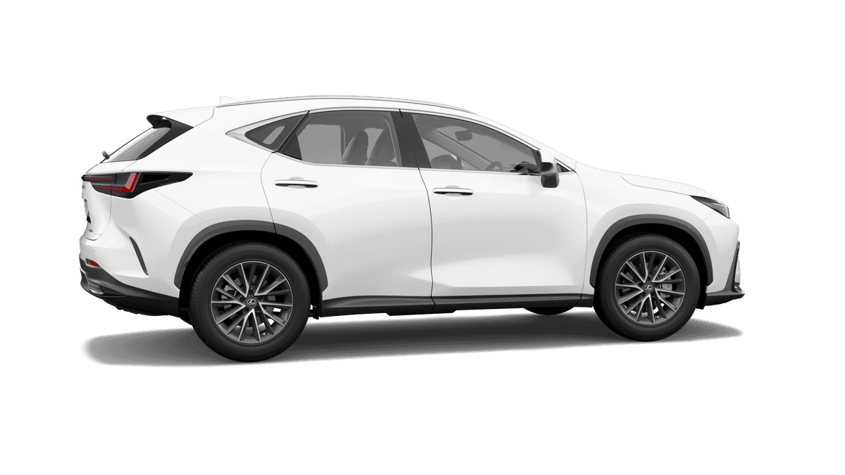 Lexus NX 250 exterior - Side Profile