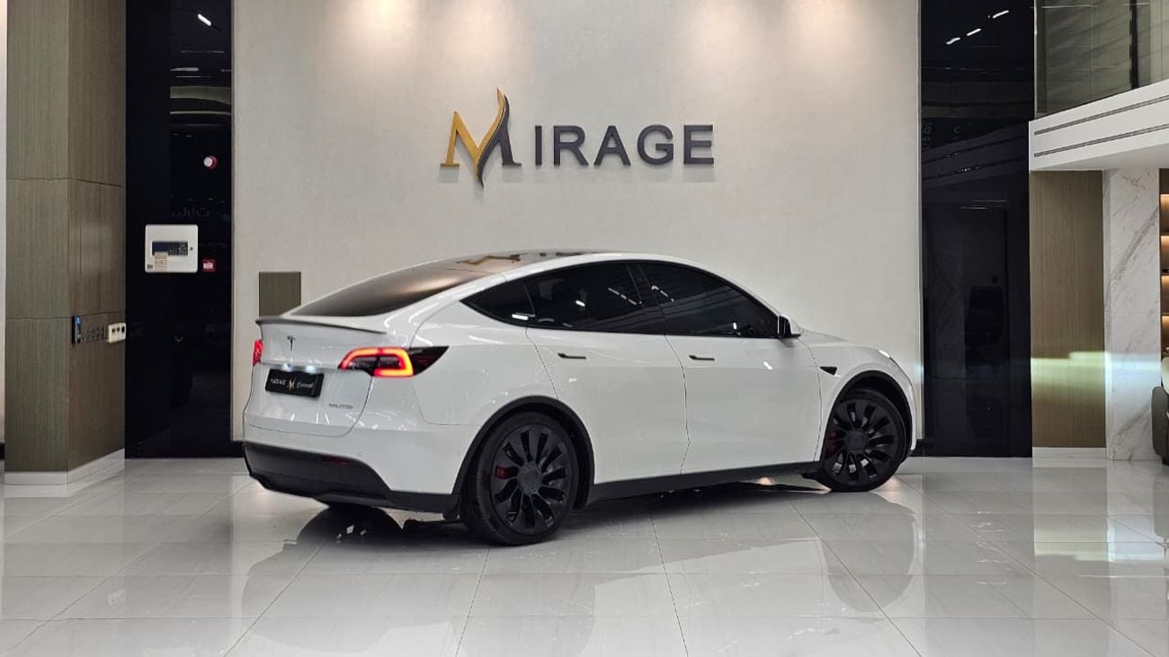 Tesla Model Y PERFORMANCE
