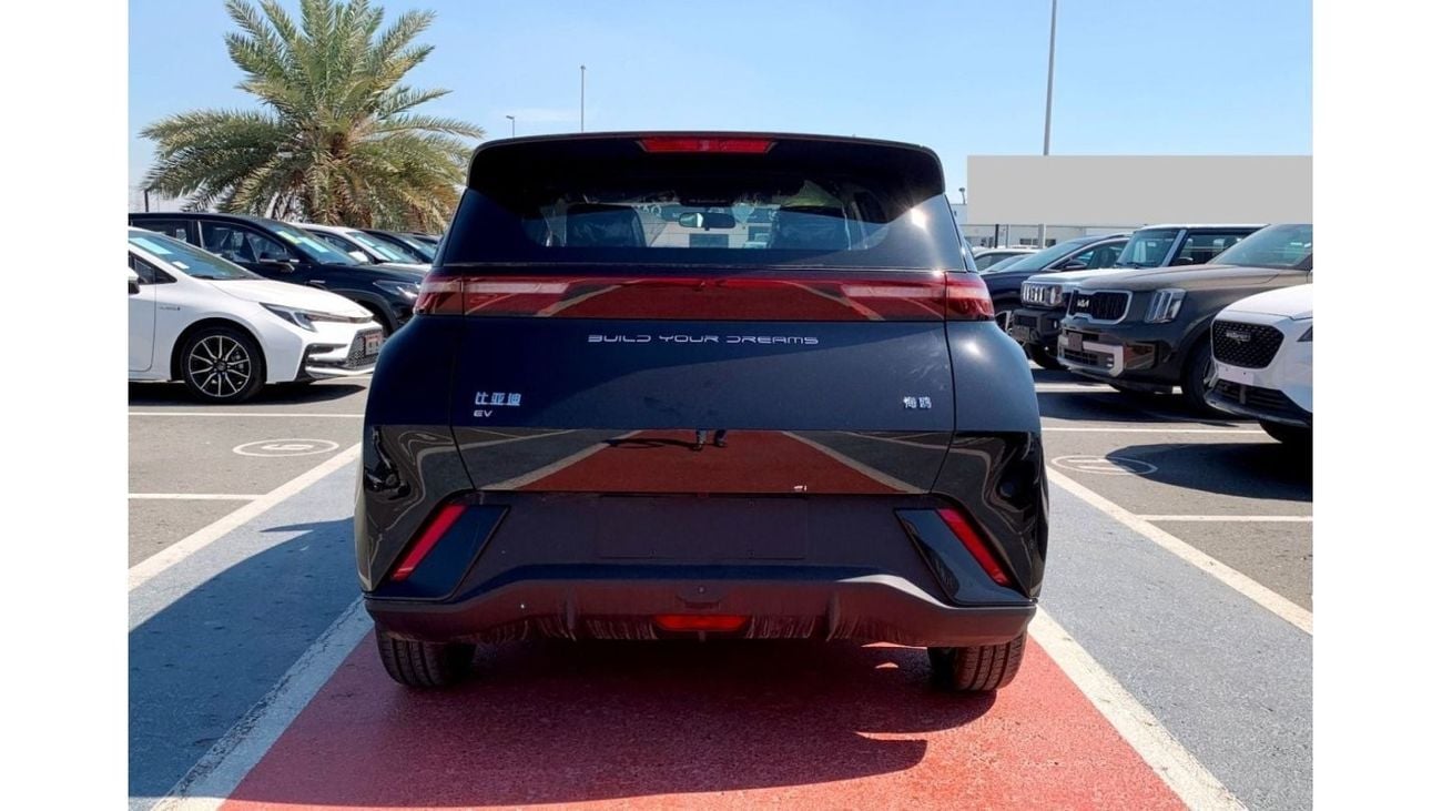 BYD Seagull 2023 BYD Brand New BYD Seagull